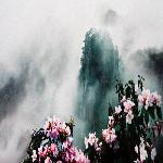 ����ɽ���