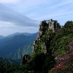 ����ɽ���